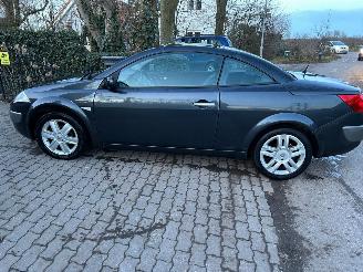 Renault Mégane Coupe Cabriolet 2.0-16V Privilège Luxe picture 14