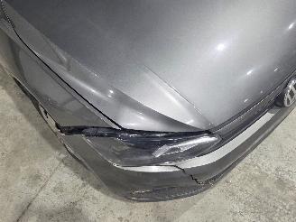 Volkswagen Polo Trendline picture 15