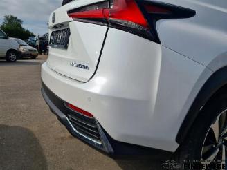 Lexus NX NX I (Z1), SUV, 2014 300h 2.5 16V 4x4 picture 34