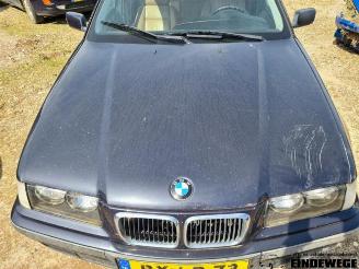 BMW 3-serie 3 serie Touring (E36/3), Combi, 1995 / 1999 320i 24V picture 25