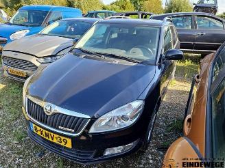 Skoda Fabia Fabia II Combi, Combi 5-drs, 2007 / 2014 1.2 TDI 12V Greenline picture 2