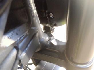 Triumph Trident 660  picture 10