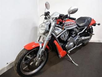 Harley-Davidson Street Rod  picture 22