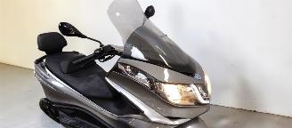 Piaggio X10  picture 18