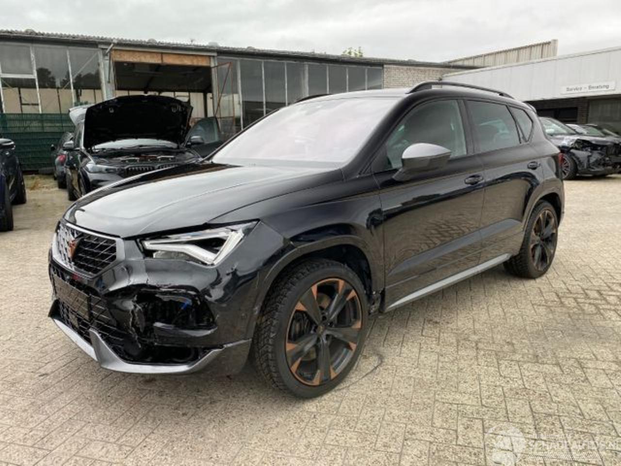 Cupra Ateca VZ 2.0 TSI 4Drive *PANO -NAVI-AHK- 360° *