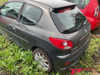 Peugeot 206 206+ (2L/M), Hatchback, 2009 / 2013 1.1 XR,XS picture 7