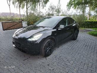  Tesla Model Y Model Y Long Range RWD Panorama Autopilot VOL!! 2025/2