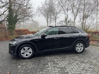 Audi E-tron Audi E-tron 55 Quattro S-Line Panorama Leder Trekhaak VOL picture 20