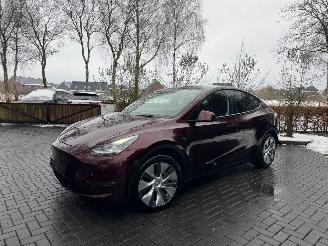 Schadeauto Tesla Model Y Tesla Model Y Long Range Dual AWD Panoramadak Camera Autopilot VOL 2024/3
