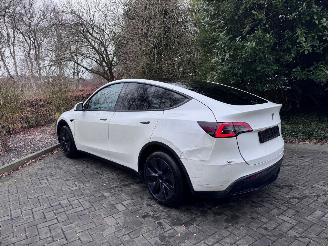 Tesla Model Y Tesla Model Y Long Range RWD PANORAMA Autopilot VOL picture 23