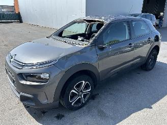 Schadeauto Citroën C4 cactus  2020/2