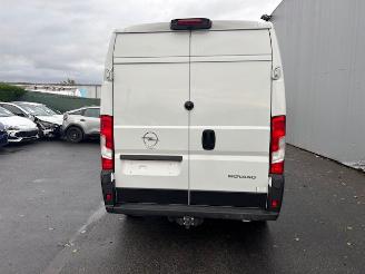 Opel Movano MAXI picture 4