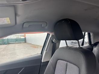 Audi Q2 3.0 TFSI picture 10