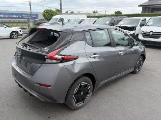 Schadeauto Nissan Leaf  2023/12
