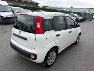 Fiat Panda  picture 2