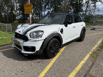 Auto incidentate Mini Countryman COOPER 1.5 Chili 2019/8