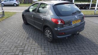  Peugeot 206+ distributieriem eraf gelopen 2010/1
