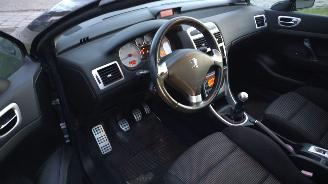 Peugeot 307 cabrio cc 2.0 lichte schade 179000 km picture 10