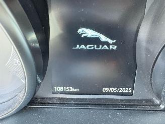 Jaguar E-Pace R-SPORT P250 PK AWD PANORAMA VOLL picture 13