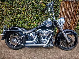 danneggiata motocicli Harley-Davidson  FLSTNI Softail Deluxe Special 2005/6