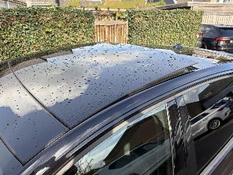 Volkswagen Polo 2024 2.0 TSI GTI  AUTOMAAT PANORAMA picture 11