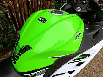 Kawasaki  Ninja 300 Anniversary Edition picture 7