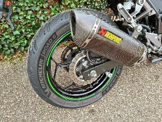 Kawasaki  Ninja 300 Anniversary Edition picture 9