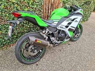 Kawasaki  Ninja 300 Anniversary Edition picture 6