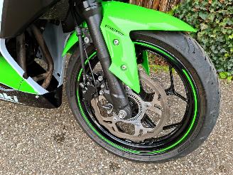 Kawasaki  Ninja 300 Anniversary Edition picture 4