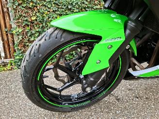 Kawasaki  Ninja 300 Anniversary Edition picture 14