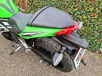 Kawasaki  Ninja 300 Anniversary Edition picture 16