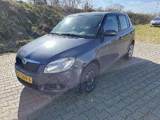 skadebil auto Skoda Fabia 1.2 Classic 2008/12
