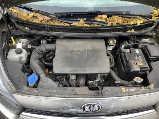 Kia Picanto Picanto (JA), Hatchback, 2017 1.0 12V picture 9