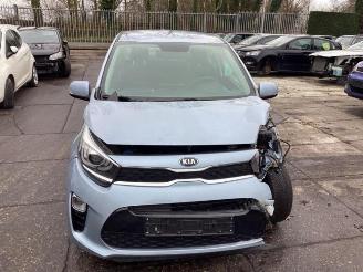 Kia Picanto Picanto (JA), Hatchback, 2017 1.0 12V picture 9