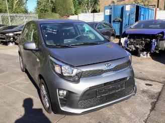 Kia Picanto Picanto (JA), Hatchback, 2017 1.0 DPi 12V picture 3