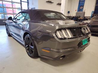 Ford Mustang  picture 10