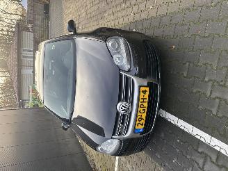 Volkswagen Golf R32 3.2 V6 DSG Dakraam NAP picture 10