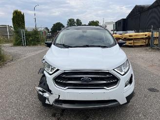 Ford EcoSport Titanium Automaat picture 2
