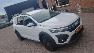 Auto incidentate Dacia Jogger 1.0 tce  110pk navi 7 zitter 2024/8