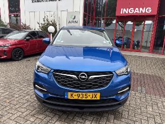Avarii autoturisme Opel Grandland X 1.2 Turbo Business Edition 2021/1