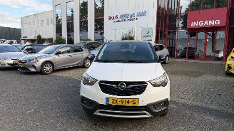 uszkodzony samochody osobowe Opel Crossland X 1.2 Turbo 120 Jaar Edition 2019/6