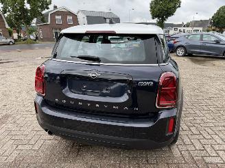 Mini Countryman  picture 14