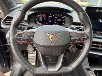 Cupra Terramar 1.5 eTSi 150 Pk automaat picture 30