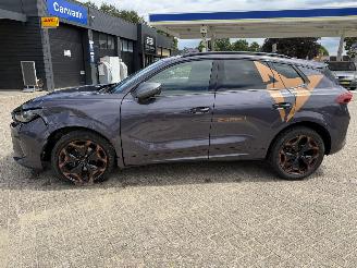Cupra Terramar 1.5 eTSi 150 Pk automaat picture 10