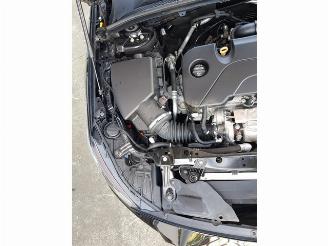 Opel Insignia Sports Tourer 1.5 Turbo EcoTec Business Executive picture 13