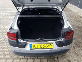 Citroën C4 cactus 1.2 PureTech Shine picture 22