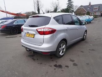 Avarii autoturisme Ford C-Max 1.0 Ti-VCT EcoBoost 2013/1