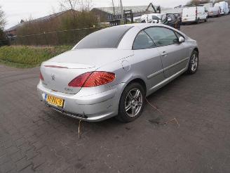 Sloopauto Peugeot 307 CC 2.0 16v 2004/11