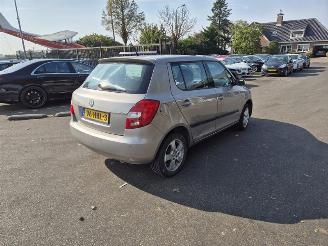 Schadeauto Skoda Fabia 1.2i 12V 2008/10
