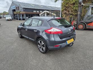 Renault Mégane 2.0 16V picture 2